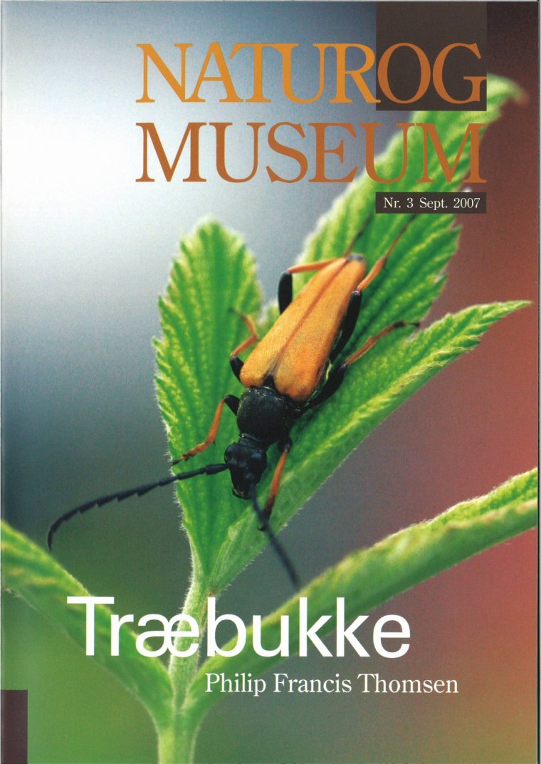 Træbukke